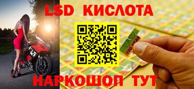 шишки Нальчик
