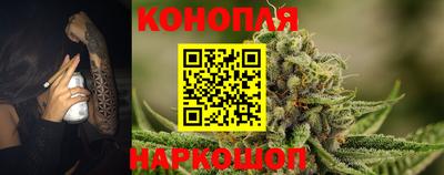 мяу мяу мука Нарткала