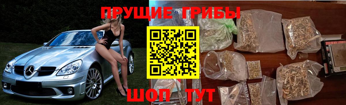 Феодосия  Галлюциногенные грибы Psilocybine cubensis  Вход с VPN 